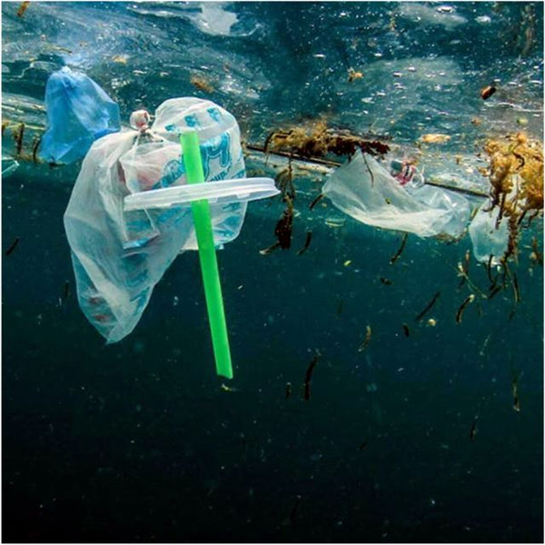 10 million tons of plastic waste pollute the world's oceans