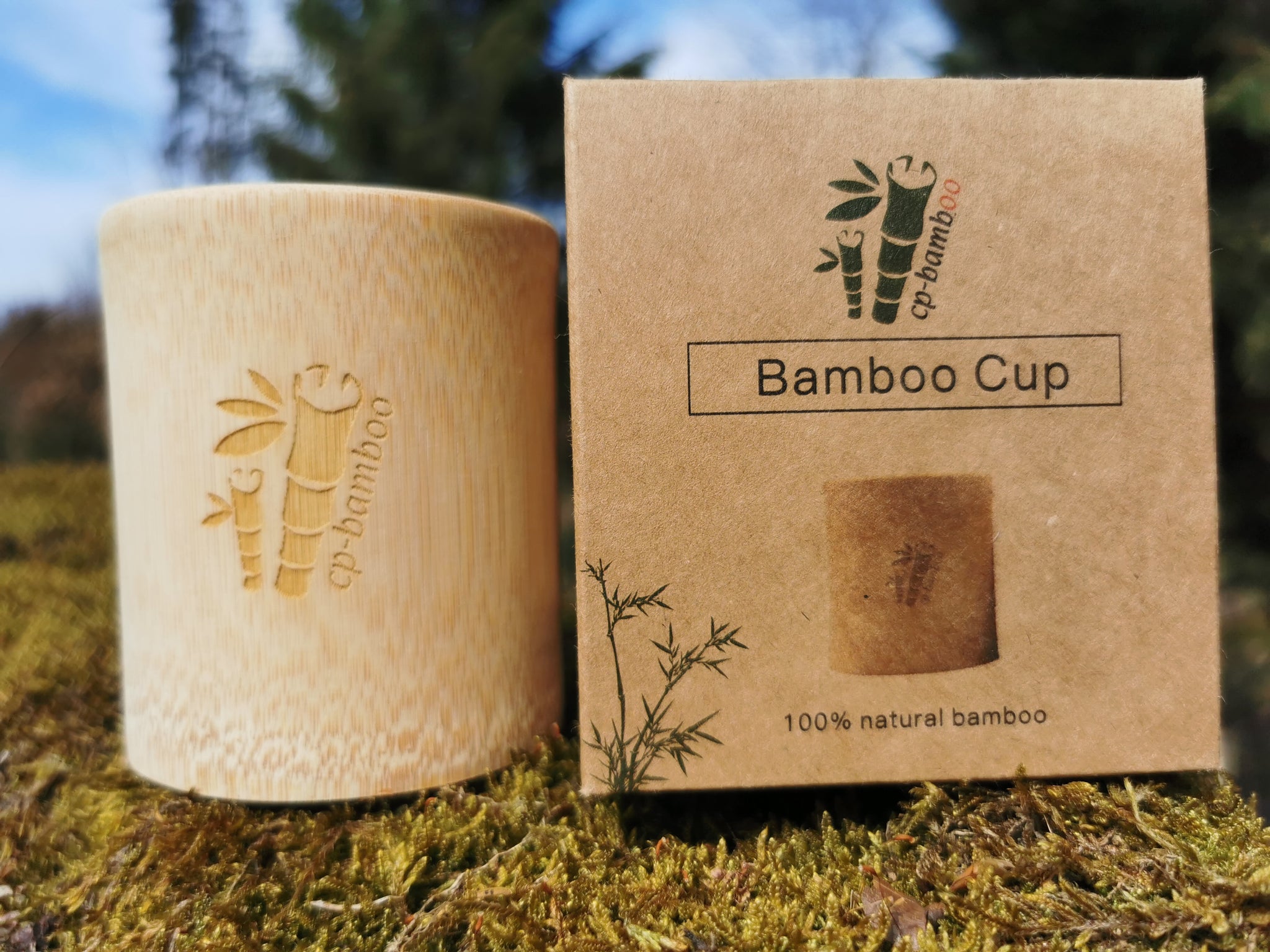 Bambus Zahnputzbecher – CP-Bamboo