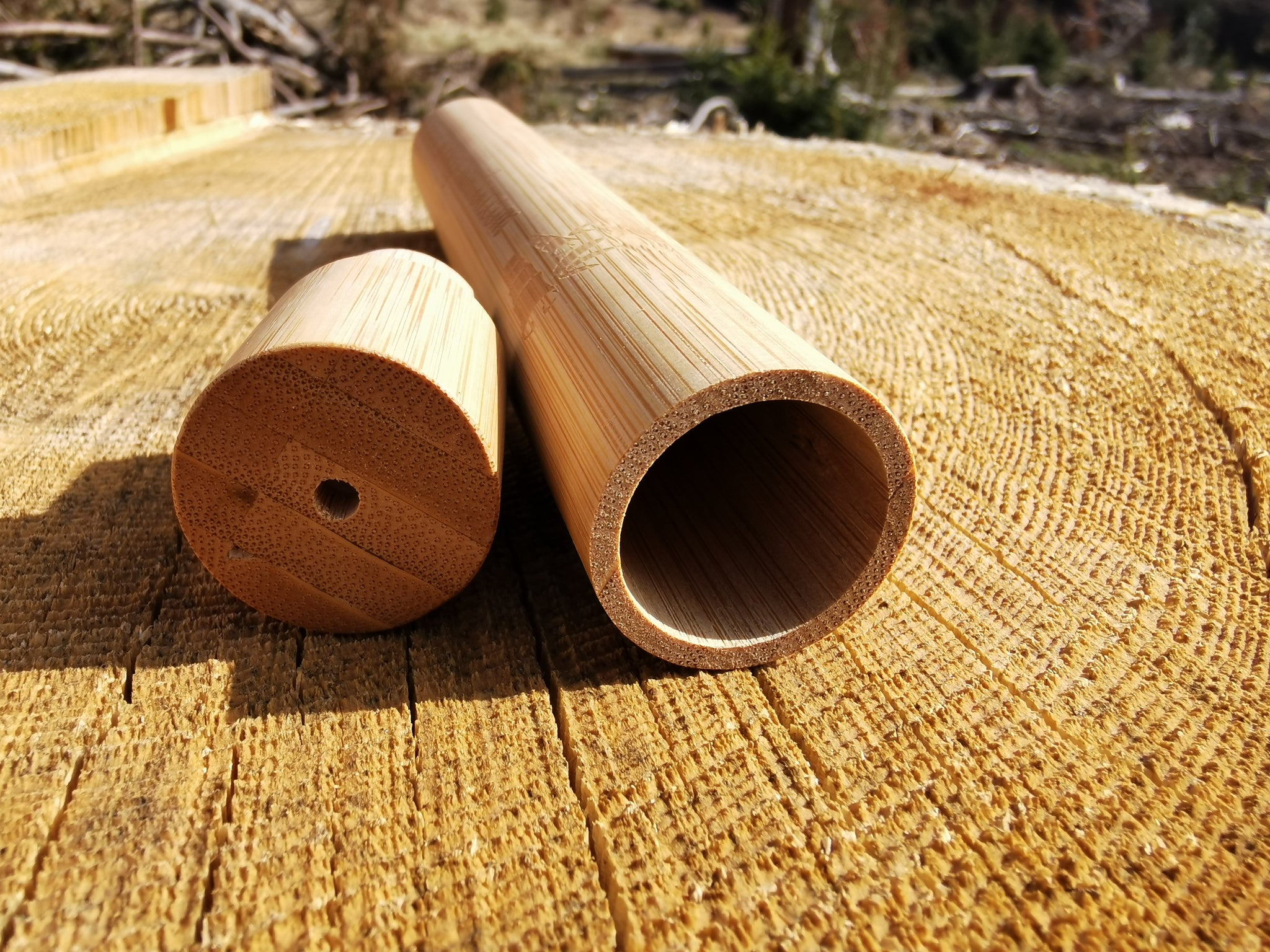 Bambus Zahnbürstenetui – CP-Bamboo